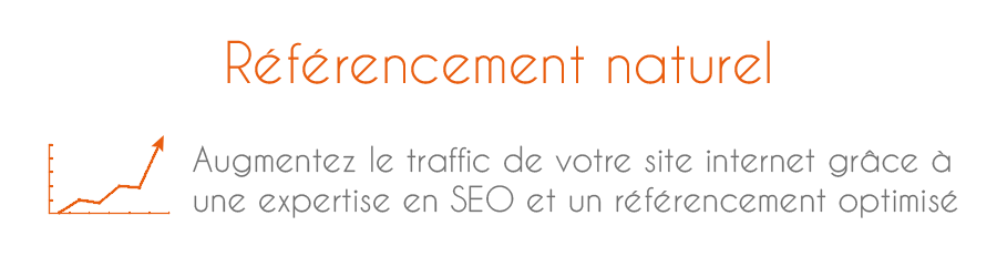 Referencement naturel